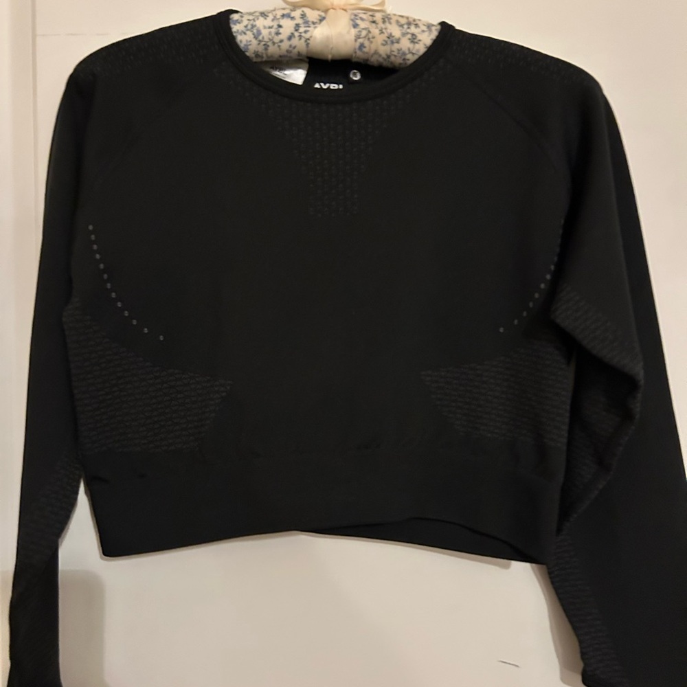 AYBL Ignite Seamless Long Sleeve Cropped